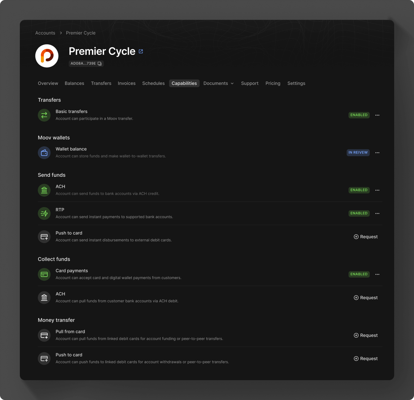Account capabilities view in Moov Dashboard